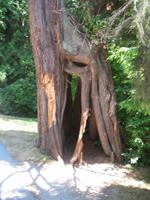 Stadtrundfahrt in Vancouver