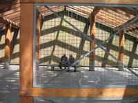 Mittagspause auf Granville Island in Vancouver