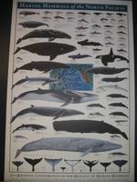 Stadtrundgang in Victoria