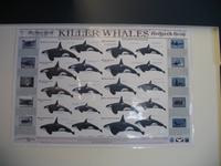 Stadtrundgang in Victoria