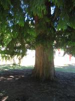 Stadtrundgang in Victoria