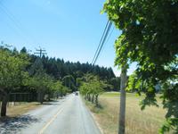 Fahrt vom Stadtzentrum in Victoria zu den Buchart Gardens