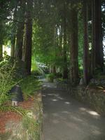 Besuch der Butchart Gardens in Victoria, British Columbia