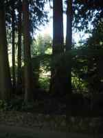 Besuch der Butchart Gardens in Victoria, British Columbia