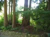 Besuch der Butchart Gardens in Victoria, British Columbia