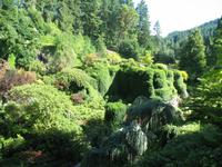 Besuch der Butchart Gardens in Victoria, British Columbia