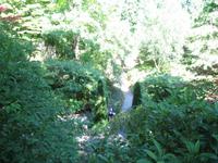 Besuch der Butchart Gardens in Victoria, British Columbia