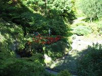 Besuch der Butchart Gardens in Victoria, British Columbia