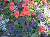 Besuch der Butchart Gardens in Victoria, British Columbia