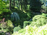 Besuch der Butchart Gardens in Victoria, British Columbia