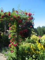 Besuch der Butchart Gardens in Victoria, British Columbia