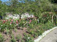 Besuch der Butchart Gardens in Victoria, British Columbia