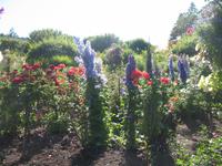 Besuch der Butchart Gardens in Victoria, British Columbia