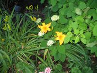 Besuch der Butchart Gardens in Victoria, British Columbia