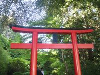 Besuch der Butchart Gardens in Victoria, British Columbia