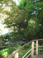 Besuch der Butchart Gardens in Victoria, British Columbia