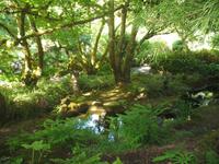Besuch der Butchart Gardens in Victoria, British Columbia