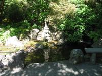 Besuch der Butchart Gardens in Victoria, British Columbia