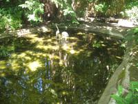 Besuch der Butchart Gardens in Victoria, British Columbia