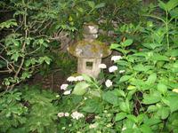 Besuch der Butchart Gardens in Victoria, British Columbia