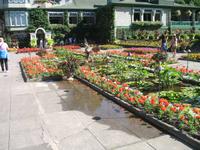 Besuch der Butchart Gardens in Victoria, British Columbia