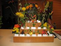 Besuch der Butchart Gardens in Victoria, British Columbia