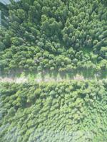 Fahrt mit der Peak 2 Peak Gondola in Whistler