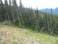 Fahrt mit der Peak 2 Peak Gondola in Whistler