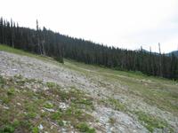 Fahrt mit der Peak 2 Peak Gondola in Whistler