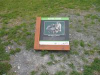 Fahrt mit der Peak 2 Peak Gondola in Whistler