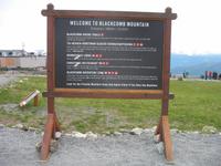 Fahrt mit der Peak 2 Peak Gondola in Whistler