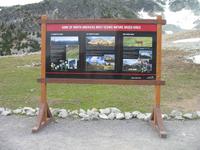 Fahrt mit der Peak 2 Peak Gondola in Whistler