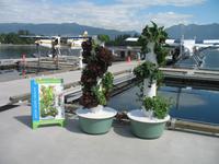 Fakultativer Flug mit dem Wasserflugzeug über Vancouver