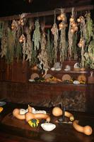 Besuch der historischen Siedlung St.-Marie among the Hurons