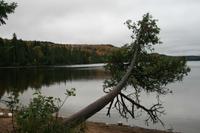 Mittagspause im Algonquin-Park