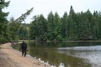 Mittagspause im Algonquin-Park