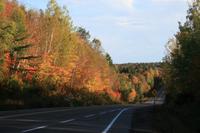 Indian Summer im Algonquin-Park
