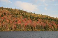 Indian Summer im Gebiet des St.-Lorenz-Stromsnquin-Park