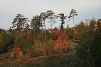 Blick vom Hotel in La Malbaie