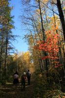 Wanderung am Lac Taureau