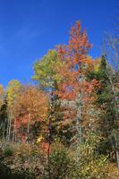 Indian Summer am Lac Taureau