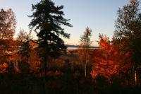 Idylle am Lac Taureau
