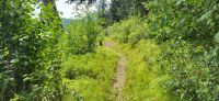 105 Wanderung am Tyauthon Lake