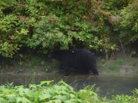 ah ich riech sie schon...