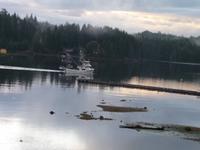 Port Hardy vom Zimmer aus am Morgen frueh