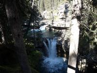 in Johnston Canyon