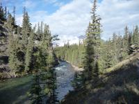 auf der Maligne Canyon Wanderung