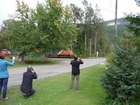 Achtung ! hier kommt die Lok von 140 Wagons