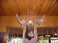 in der Black Horse Ranch