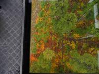 von der Peak to Peak Gondel aus 